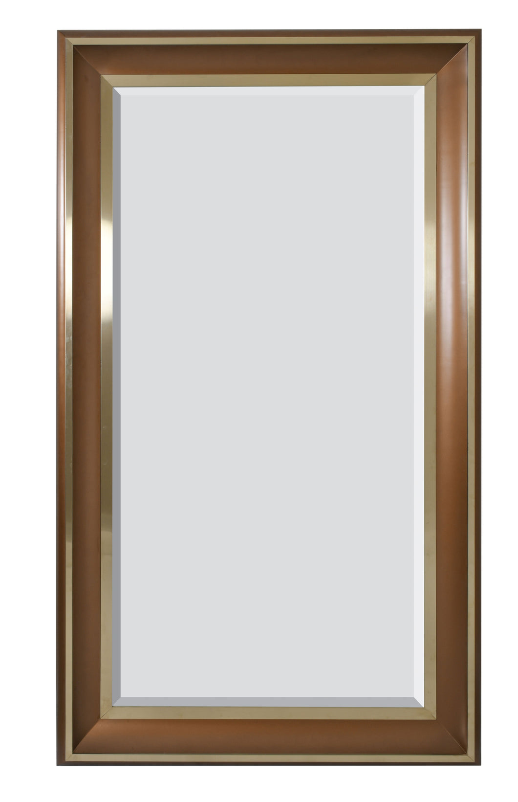 Mirror with Gold and Brown Frame 36x72