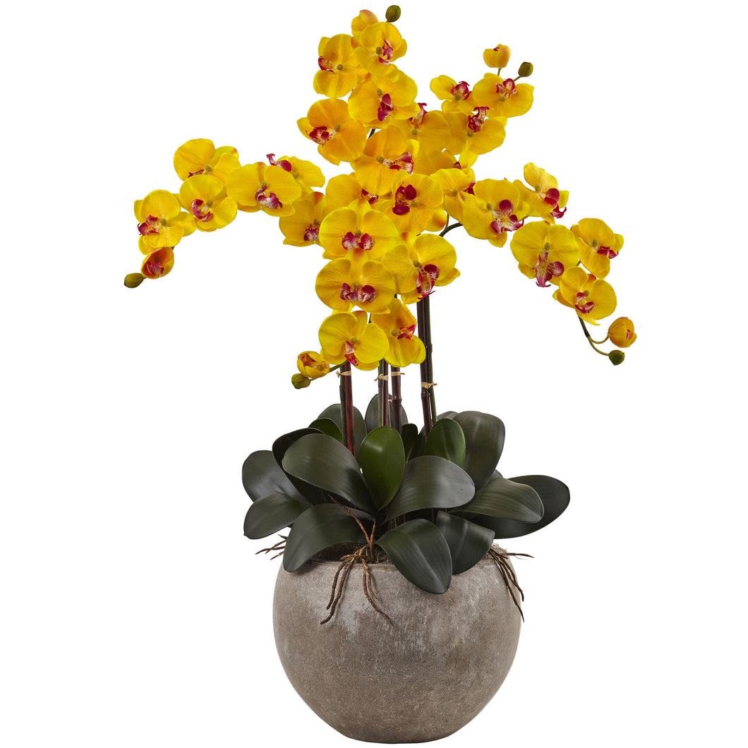 Phalaenopsis Orchid Arrangement with Sand Colored Bowl