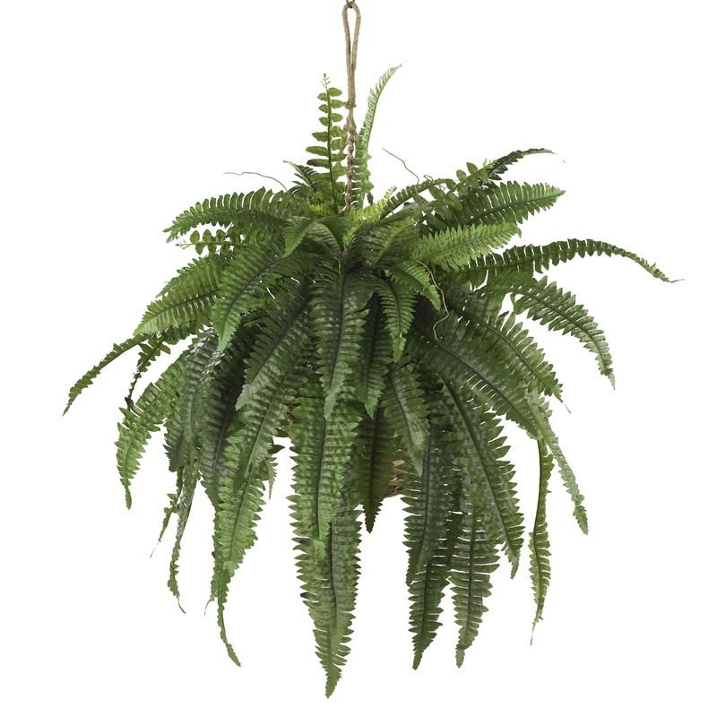 Large Boston Fern Hanging Basket