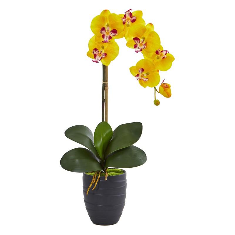 Phalaenopsis Orchid Artificial Arrangement in Black Vase