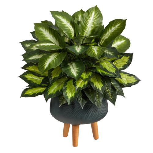 2'Golden Dieffenbachia Artificial Plant in Black Planter with Stand