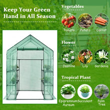 Load image into Gallery viewer, Walk-in Greenhouse 56&#39;&#39; x 56&#39;&#39; x 77&#39;&#39; Gardening with Observation Windows
