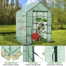 Load image into Gallery viewer, Walk-in Greenhouse 56&#39;&#39; x 56&#39;&#39; x 77&#39;&#39; Gardening with Observation Windows
