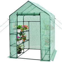 Load image into Gallery viewer, Walk-in Greenhouse 56&#39;&#39; x 56&#39;&#39; x 77&#39;&#39; Gardening with Observation Windows
