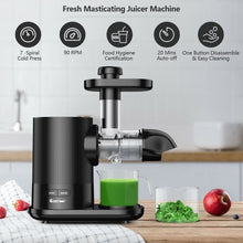 Load image into Gallery viewer, Horizontal Slow Masticating Extractor Juicer with Brush-Black
