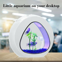 Load image into Gallery viewer, 1Gallon Fish Aquarium Tank with Filter Air Pump-White
