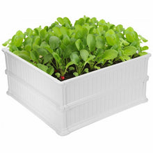 Load image into Gallery viewer, 2 PCS Raised Garden Rectangle Plant Box-White
